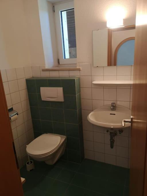 Grosszuegiges Haus Angrenzend An Naturschutzgebiet Immenstadt im Allgäu Екстериор снимка
